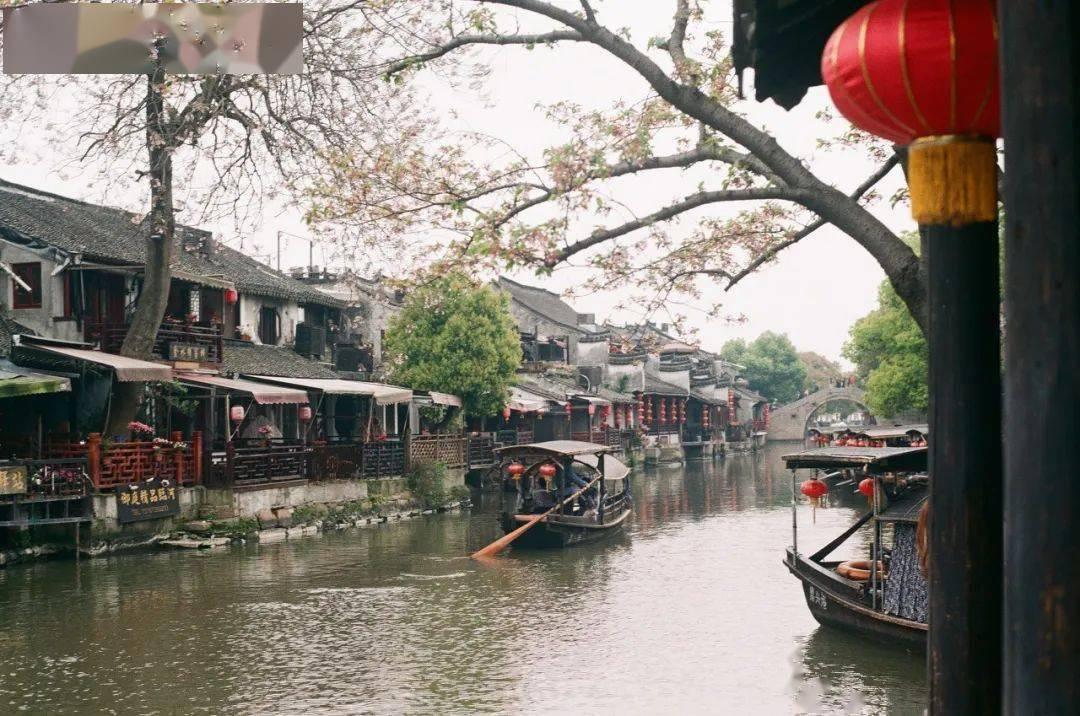 探索世界,与《中餐厅3》秦海璐做饭受伤,她伤的严重吗?分享智慧